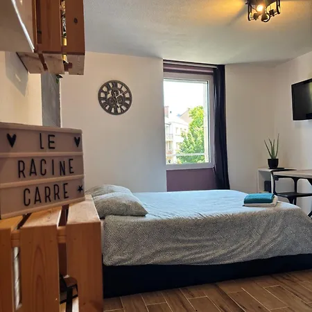 Le Racine Carre - Climatise - Centre Apartment Dijon